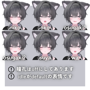 【chocolat専用】ショコラくん化BlendShapes/表情アニメーションセット 缩略图 5