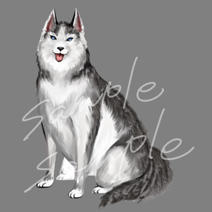 イラスト素材　ハスキー犬