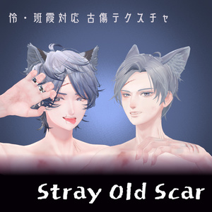 【怜・斑霞専用】ボディテクスチャ「Stray Old Scar」