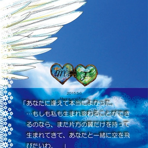 (創作小説DL配布)ふたつのつばさのものがたり
