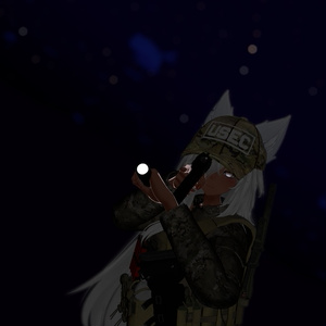 AIT_Tactical_Light【光量変更,照射角度変更,コンタクト,ハンドサイン設定済み】 缩略图 6