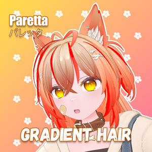 [Paretta 전용] 그라데이션 헤어 ...