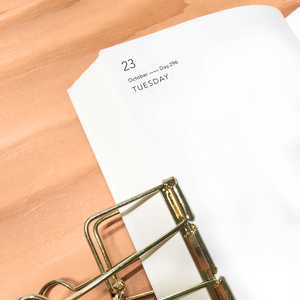 muji diary - 2019