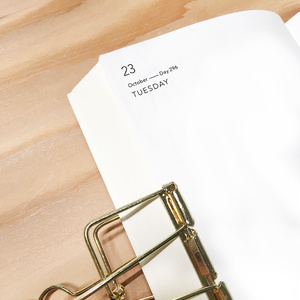 muji diary - 2020