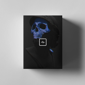 Bricc Flair - Martyr (MIDI Kit)
