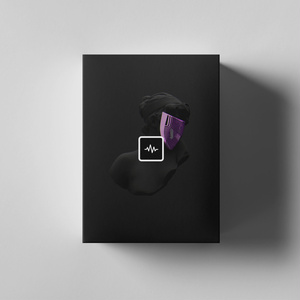 Bricc Flair - Alfa (MIDI Kit)