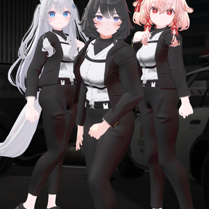 Bodyguard Suit [Lime, Ukon, Velle] And a weapon box