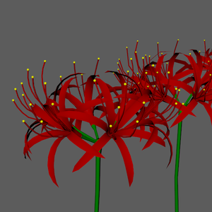 [LOD] 曼珠沙華 - Red spider lily 