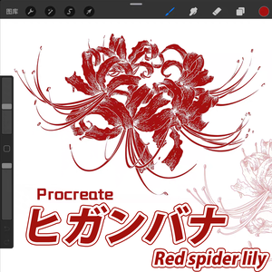 Procreate花素材【ヒガンバナ Red spider lily】ブラシ