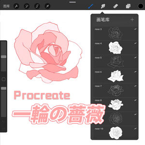 Procreate花素材【一輪の薔薇 Rose】ブラシ