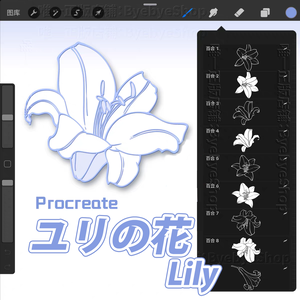 Procreate花素材【ユリの花 Lily flower】ブラシ