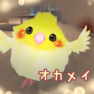 オカメインコもどき