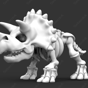 Cute Triceratops Skeleton 3D model for 3D Print