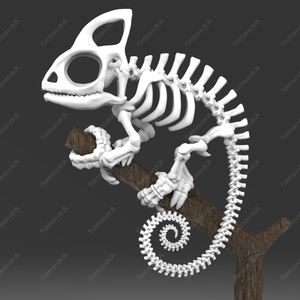 Cameleon Skeleton STL for 3D Print
