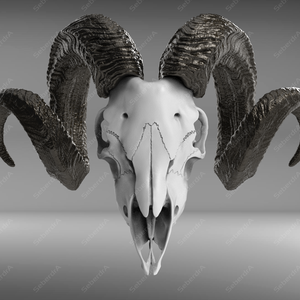 Goat Skull V1 STL for 3Dprint