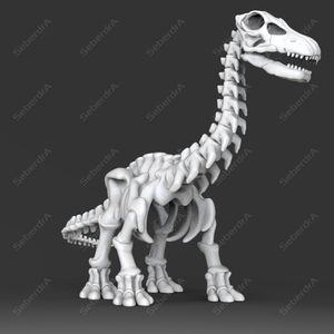 Cute Apatosaurus Skeleton STL for 3DPrint
