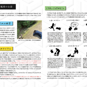 【C101新刊】広島のうさぎランド