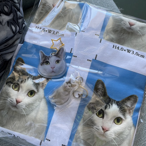 ほむ🐱アクキー