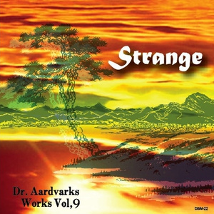 変拍子ギターインストロック！ "Srange"(Dr.Aardvarks Works Vol,9)