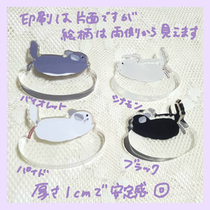 ラプラスショコラ白猫ちゃん - kurotoneko - BOOTH