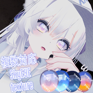 【複数アバター対応】SkyEYEtexture【複数対応】