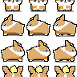 犬みち