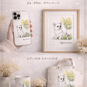 【商用利用OK】チワワ×ミモザ｜春のナチュラル水彩イラスト素材｜グッズ制作・販売に｜A4 PNGダウンロード