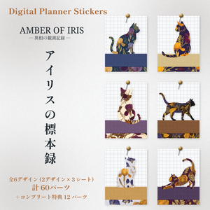 【デジタルマスキングテープ】アンティークな押し花風テキスタイル / アイリスの標本録 (デジタル素材・PNG) - Amber of Iris