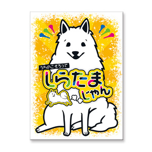 しらたまじゃん