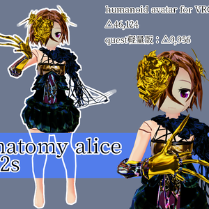【VRChatアバター想定3Dモデル】解剖学アリスso2s