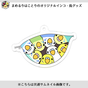 みっちりむっちり過密セキセイインコさんアクリルキーホルダー【まめるりはことり】