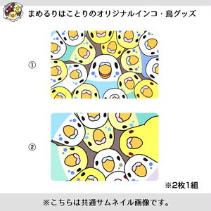 みっちりむっちり過密セキセイインコさんICカードステッカー【まめるりはことり】