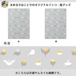 ちみまめオカメインコちゃん下敷き【まめるりはことり】