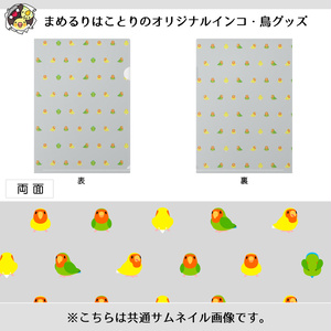 ちみまめコザクラインコちゃんクリファイル【まめるりはことり】