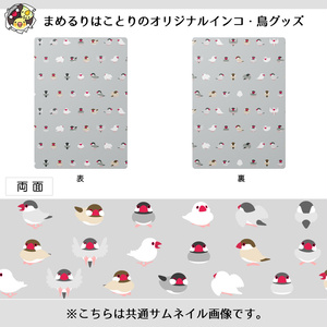 ちみまめ文鳥ちゃん下敷き【まめるりはことり】