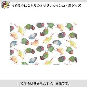 たっぷりウロコインコちゃんICカードステッカー【まめるりはことり】