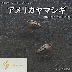 VRChatワールド向けアセット「中々目の前を横切ってくれないアメリカヤマシギ」