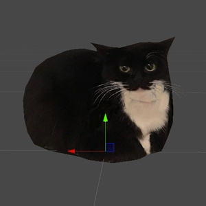 Maxwell the Cat