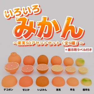 いろいろみかん｜果実3Dアセットセット（全6種・展示用ラベル付き）