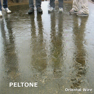 PELTONE「Oriental Wire」...
