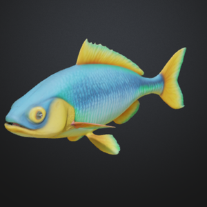 FISH