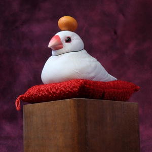 Insomnia3D 闘うマーモット FightingMarmot 1st Color - insomnia3D