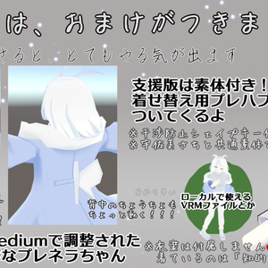 【無料・Quest対応】オリジナル3Dモデル「プレネラ」 缩略图 4