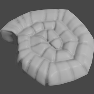 3D ammonite accessories Small accessories