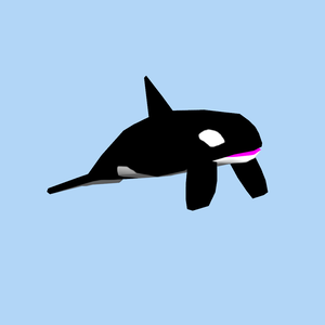 3D　シャチ　動物　VRChat　VRM　アバター　Windows(PC)/Android(QUEST)/iOS