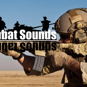 Realistic Combat Sounds Mod GtaV Lite Version V0.3 Beta - dris's ...