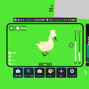 アヒル（Crested：Anas platyrhynchos var. domesticus. ）