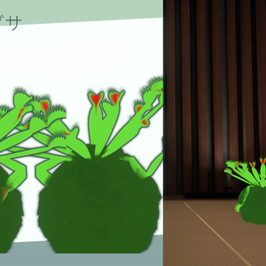 ハエトリグサ（Venus flytrap：Dionaea muscipula）