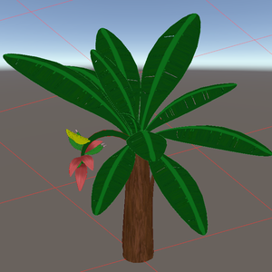 ばなな（Banana：Musa acuminata 'Dwarf Cavendish'）