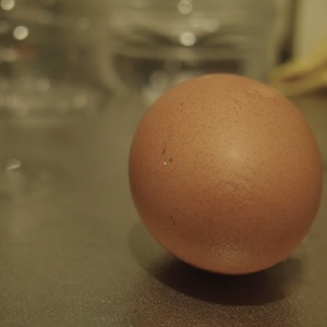 リーズンズエッグ / Reasons Egg